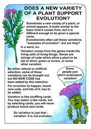 009_Creation_Magazine_06: Colour; Creation