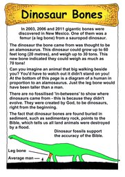 027_Creation_Magazine_06: Colour; Creation
