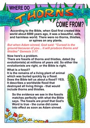 047_Creation_Magazine_06: Colour; Creation