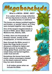 007_Creation_Magazine_07: Colour; Creation