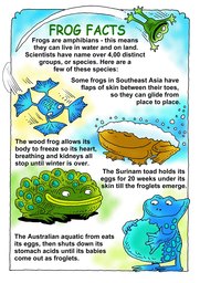 018_Creation_Magazine_07: Colour; Creation