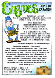 027_Creation_Magazine_07: Colour; Creation