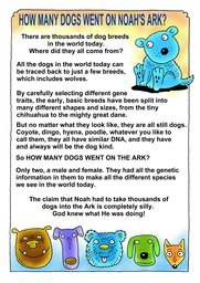 016_Creation_Magazine_08: Colour; Creation