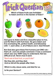 038_Creation_Magazine_08: Colour; Creation