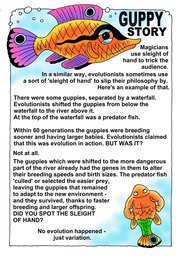 010_Creation_Magazine_10: Colour; Creation