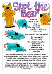 015_Creation_Magazine_10: Colour; Creation