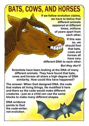 035_Creation_Magazine_10: Colour; Creation