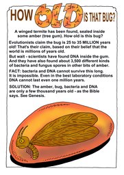 045_Creation_Magazine_10: Colour; Creation