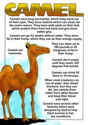 052_Creation_Magazine_10: Colour; Creation