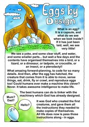 014_Creation_Magazine_11: Colour; Creation