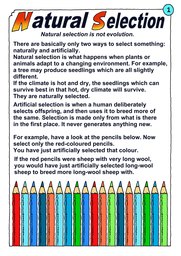 014_Creation_Magazine_12: Colour; Creation