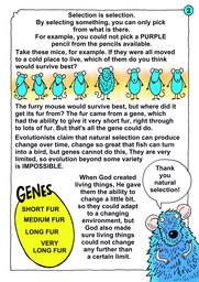 015_Creation_Magazine_12: Colour; Creation