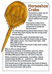 037_Creation_Magazine_12: Colour; Creation