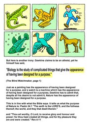 046_Dawkins_Was_Wrong: Colour; BW; Creation; Dawkins