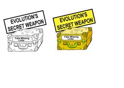 017_Evolution_Cartoons: Cartoons; Colour; Creation