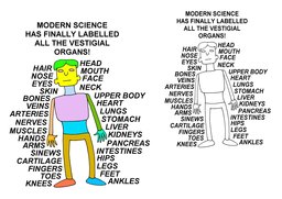 020_Evolution_Cartoons: Cartoons; Colour; Creation