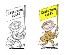 091_Evolution_Cartoons: Cartoons; Colour; Creation