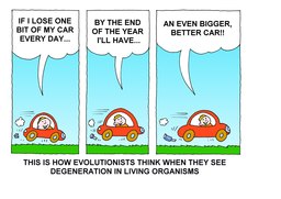 117_Evolution_Cartoons: Cartoons; Colour; Creation