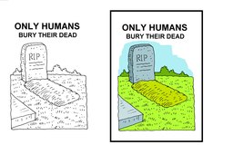 138_Evolution_Cartoons: Cartoons; Colour; Creation