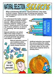 16_Evolutionary_Biology: Colour; Creation