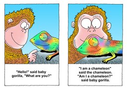10_Gorilla_Story: Creation