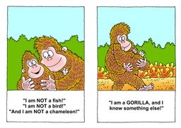 14_Gorilla_Story: Creation