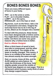 007_Human_Body: Aliens; Colour; Creation; Human body