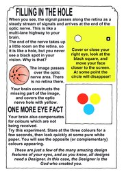 053_Human_Body: Colour; Creation; Human body