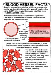 114_Human_Body: Colour; Creation; Human body