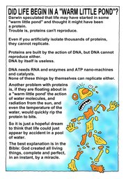 18_Non_Science: Colour; Creation; Science