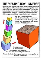 20_Non_Science: Colour; Creation; Science