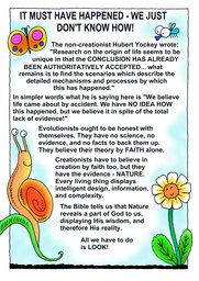 41_Non_Science: Colour; Creation; Science