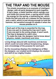 45_Non_Science: Colour; Creation; Science