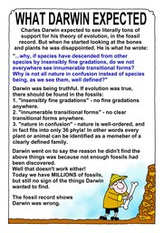 20_The_Evolutionist: Colour; Creation