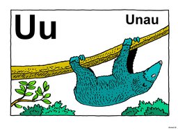 22_Animal_Alphabet: Alphabet; Animals; Colour
