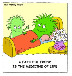 02_Frond_Friends