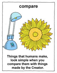026_Verbs: Colour; Verbs