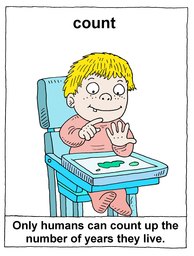 041_Verbs: Colour; Verbs