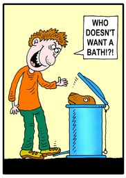 208_Jokes: Cartoons; Colour; Jokes