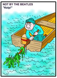 217_Jokes: Cartoons; Colour; Jokes