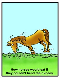 220_Jokes: Cartoons; Colour; Jokes
