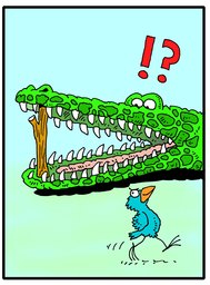 256_Jokes: Cartoons; Colour; Jokes