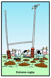 257_Jokes: Cartoons; Colour; Jokes