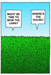 272_Jokes: Cartoons; Colour; Jokes