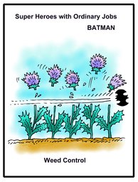 043_Jokes: Cartoons; Colour; Jokes