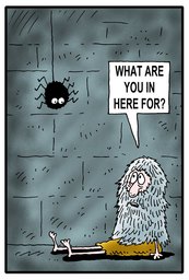 287_Jokes: Cartoons; Colour; Jokes