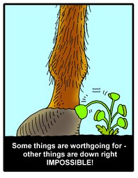 288_Jokes: Cartoons; Colour; Jokes