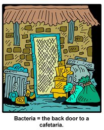 295_Jokes: Cartoons; Colour; Jokes