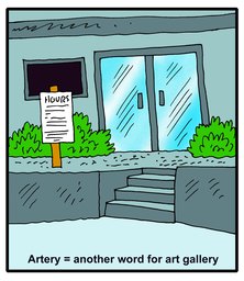 296_Jokes: Cartoons; Colour; Jokes