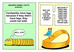 101_More_Jokes: Bible